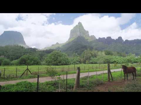 This Time Tomorrow - official trailer - Taylor Steele