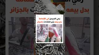 إثر فائض في الإنتاج.. رمي السردين في القمامة بدل بيعه يثير انتقادات بالجزائر thumbnail