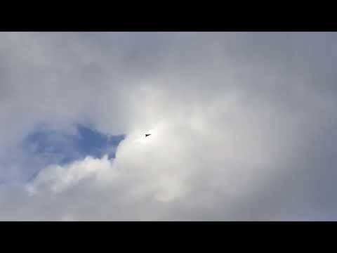 Flex innovations Pirana with a 6S 1780KV motor.