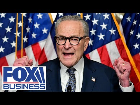 BIG LIE: DHS funding lapses as Schumer demands ICE reform