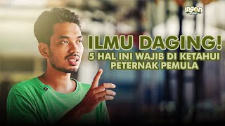 Download lagu Modal 2 Ekor, Jadi 150 Ekor Kambing: Berkat Manajemen Kandang & Pakan yg Baik! mp3