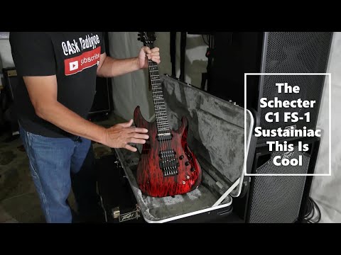 Електрогітара SCHECTER C-1 FR S Silver Mountain BM