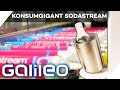 How Sustainable Is SodaStream We Take A Look Behind The Scenes Of The Market Leader Galileo