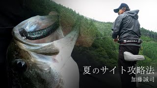 夏のサイト攻略法。“I字” の極意とは？ / 加藤誠司