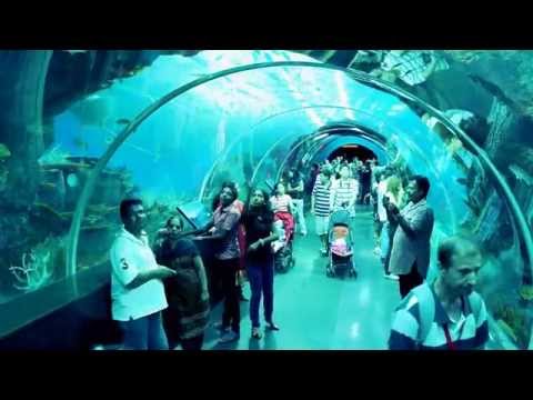download lagu mp3 mp4 Glass Tunnel, download lagu Glass Tunnel gratis, unduh video klip Glass Tunnel