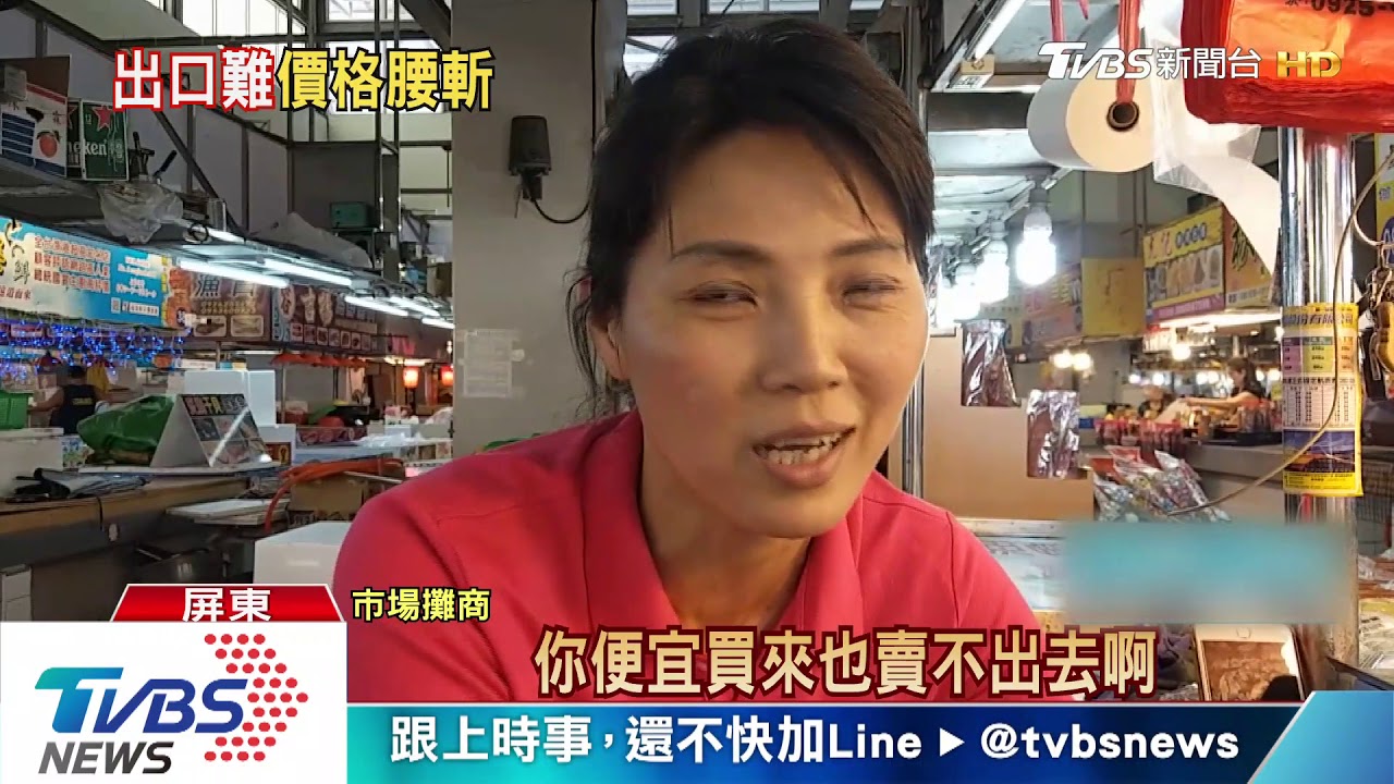 東港「第一鮪」競標續辦　整體魚價近乎砍半