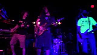 PIgeons Playing Ping Pong - Landing Lancaster PA 9/17/2015