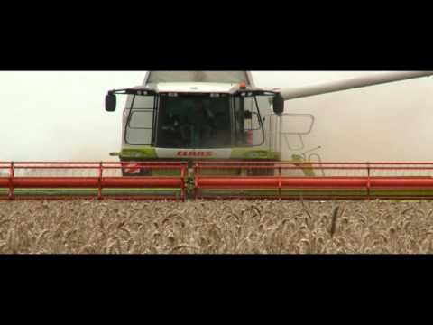 CLAAS LEXION 580 World Record / 2008