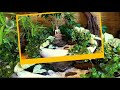 Lord Buddha Status Video For Whatsapp FB Instagram Buddha Whatsapp Status