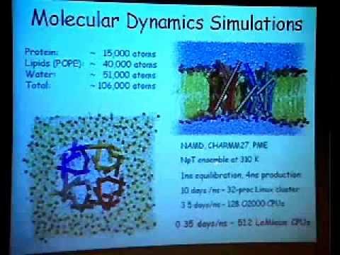TCBG Summer School 2003: Simulating Membrane Channels - Transport in Aquaporins