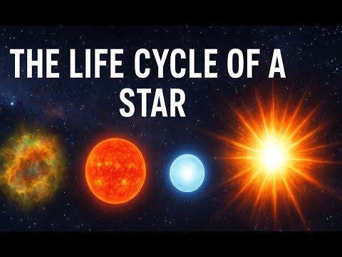 The Surprising Life Cycle of a Star | From Birth to Supernova and Beyond