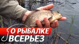 Ссылка