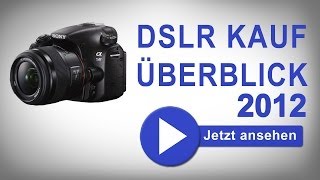 Welche Spiegelreflexkamera soll ich als Einsteiger kaufen? Canon vs. Nikon?