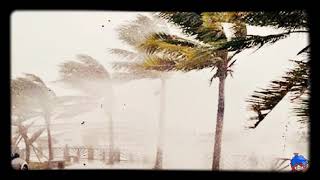 Download lagu backsound suara angin petir ( No Copyright 🌬️🌬️🌩️🌩️ ) mp3