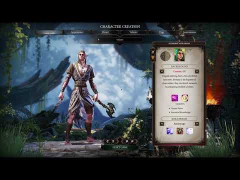 Divinity Original Sin 2 Blind Solo Tactician Stream part 1