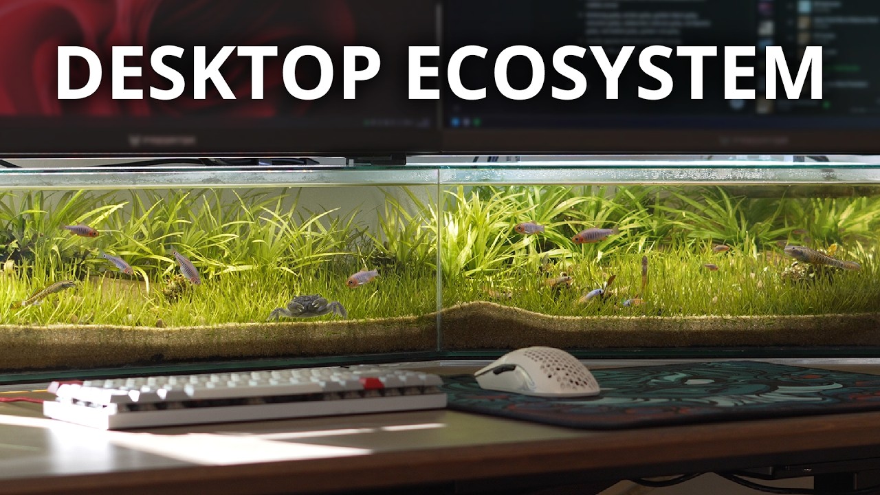 I Built an Aquarium Under My Monitors - YouTube