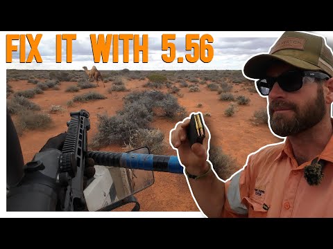 Network optimisation and getting some steaks