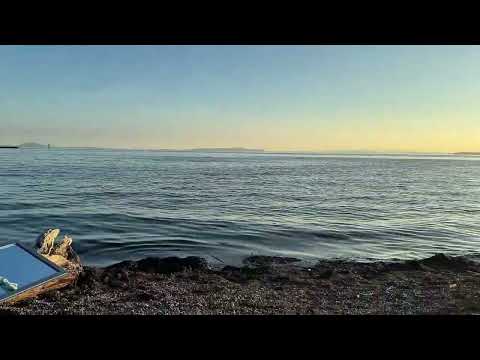 White rock pier #Canada #British Columbia 