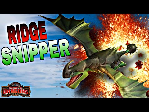 WHAT DID THEY DO ?! // The Ridgesnipper in School of Dragons