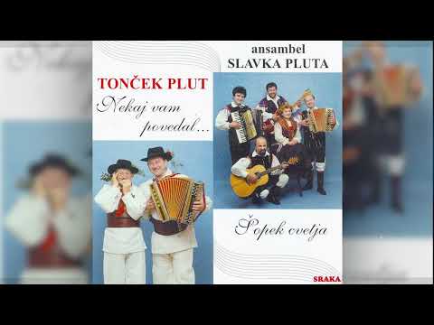 Ansambel Slavka Pluta - Na obisku