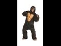 Gorilla kostume video