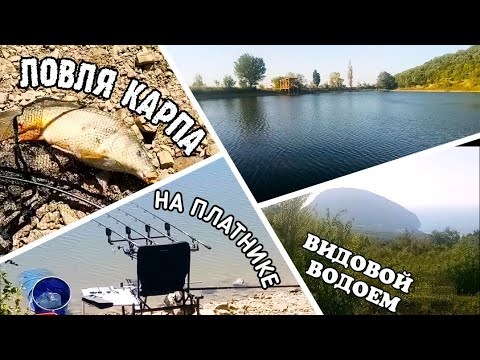 ЛОВЛЯ КАРПА В КРЫМУ / КАРПФИШИНГ В КРЫМУ / РЫБАЛКА В КРЫМУ НА ПЛАТИКЕ /  КРАСНОКАМЕНКА РЫБАЛКА.