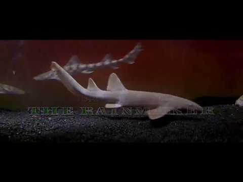 Mickey Rourke- Lawyer