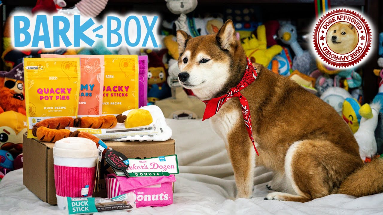Unboxing the May 2021 BarkBox - Barkfest In Bed (Double Deluxe Box)