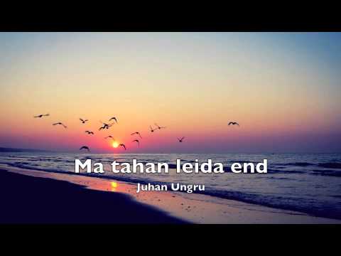 Juhan Ungru - Ma tahan leida end