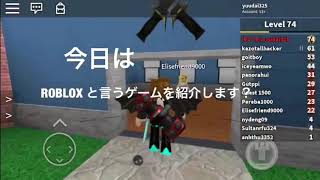 ROBLOX 紹介では無い多分