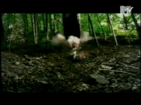 Buddah Monk ft ODB - Got´s like come on