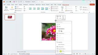How to Extract the Hex Code from Images in PowerPoint