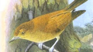 Judy Henske - Love Henry (with intro)