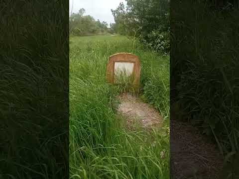 cimitir săsesc vechi, satul Amnas, jud Sibiu, Romania