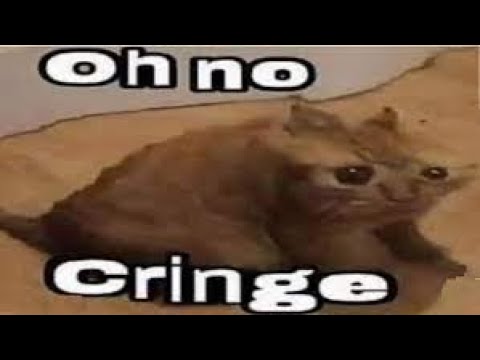 X Gon Give It To Ya Maybe   Carly Rae Jepsen vs  DMX Mashup