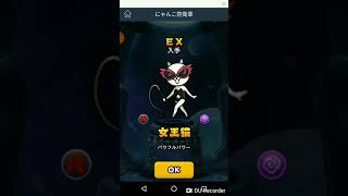 にゃんこ防衛軍？！