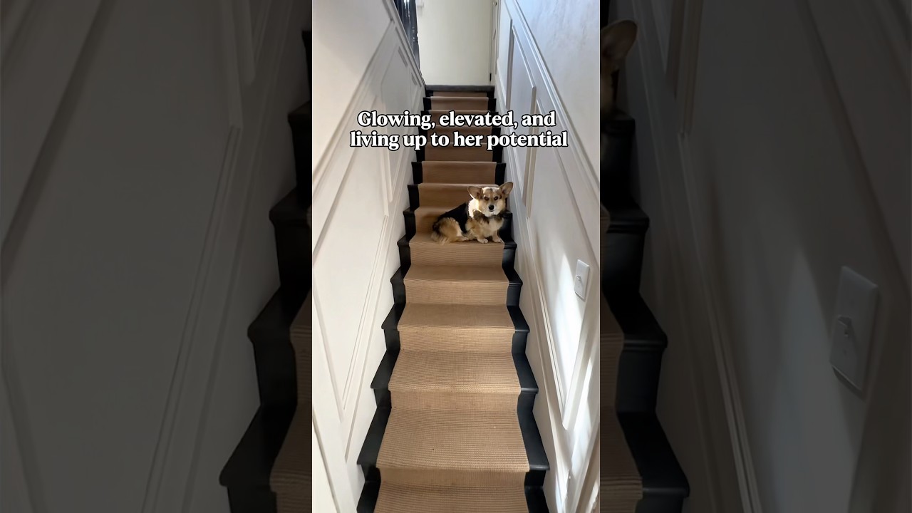 Saving the Stairs! #diy #stairs #renovation #wallpaper #cottagecore #englishcottage