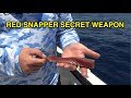 Red Snapper Secret Weapon [BEST BAIT]