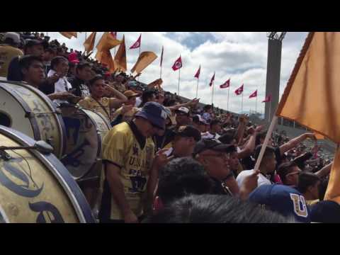 "Pumas vs Tigres 2016 REBEL" Barra: La Rebel • Club: Pumas