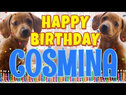 Happy Birthday Cosmina! ( Funny Talking Dogs ) What Is Free On My Birthday