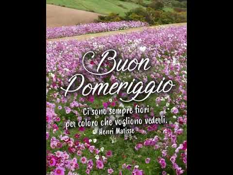 Ci sono sempre fiori per coloro che vogliono vederli. Video e GIF di Buon Pomeriggio con fiori e musica