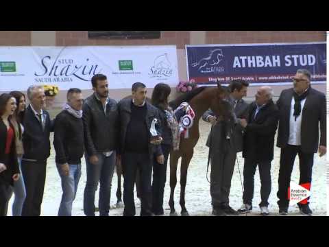 2ND-N.25 PALTONA K.A. - Milan 2016 - Fillies Championship (Class 16)