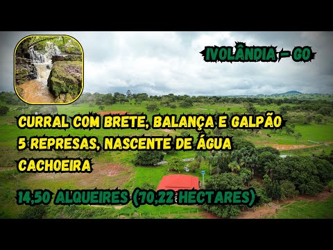 Fazenda à Venda em Ivolândia GO | 14 Alqueires, Água Abundante, Estrutura Completa para Pecuária