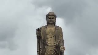南无阿弥陀佛🙏Ná_mó_ēmítuófó_🙏_Gautam_Buddha_🙏_Mahatma_Buddha_🙏_namo_Amitabha_Buddha_🙏____samaira official