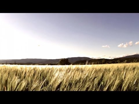 download lagu mp3 mp4 Einmusik Oceans Bottom EINMUSIKA014, download mp3 Einmusik Oceans Bottom EINMUSIKA014 free downloadn, video klip Einmusik Oceans Bottom EINMUSIKA014
