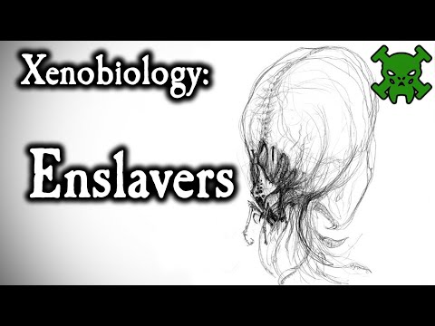Enslavers - Warp Xenos || Warhammer 40K Lore