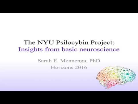 Horizons 2016: STEPHEN ROSS, MD, SARAH ELAINE MENNENGA, PhD, & SAMANTHA KRISTEN PODREBARAC, MSc
