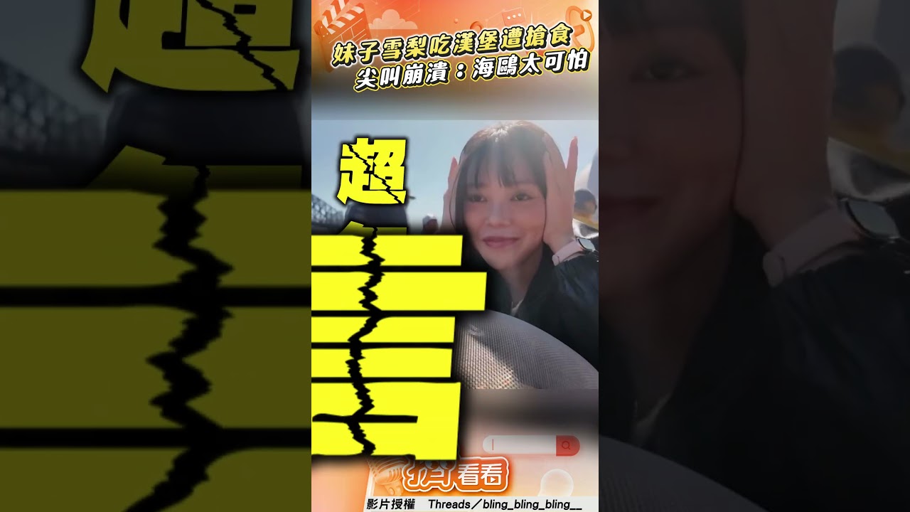 影音/妹子雪梨吃漢堡「遭搶食」 尖叫一瞬間崩潰:海鷗太可怕!