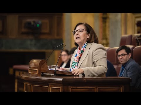 Intervención de María Jesús Moro en el Congreso de los Diputados