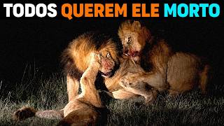 🚨 Depois de tudo o LEÃO CEGO se TORNOU O REI